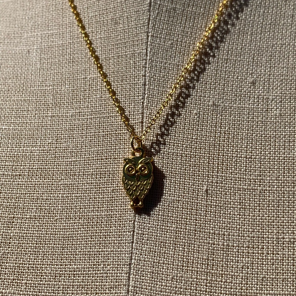 NWT Sterling Silver Plated Chain & Alloy Owl Charm Necklace - Picture 9 of 11